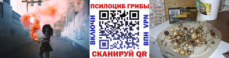 Галлюциногенные грибы MAGIC MUSHROOMS  Купить закладки  Дзержинский 